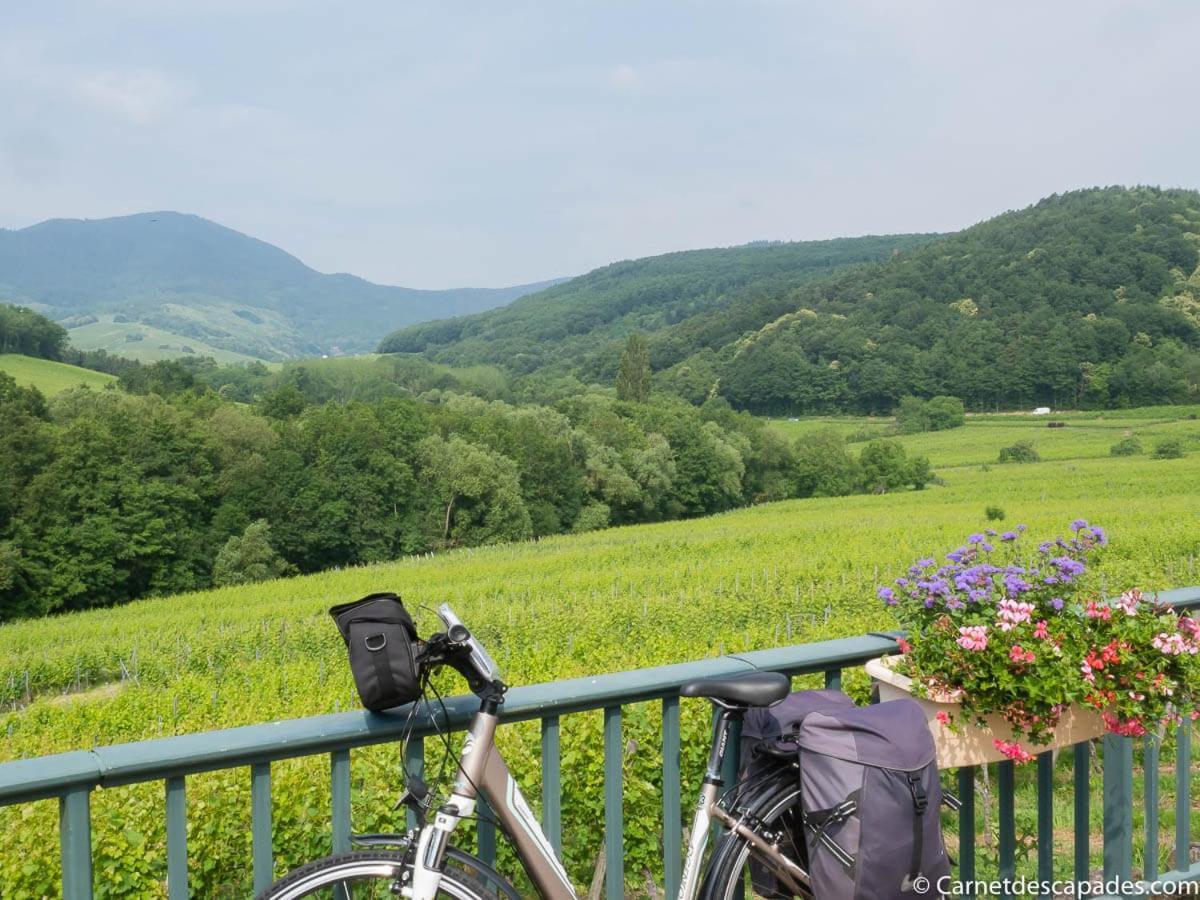 Coeur D'Alsace Colmar Vignobles Ouest Avec Terrasses Wintzenheim Exterior foto