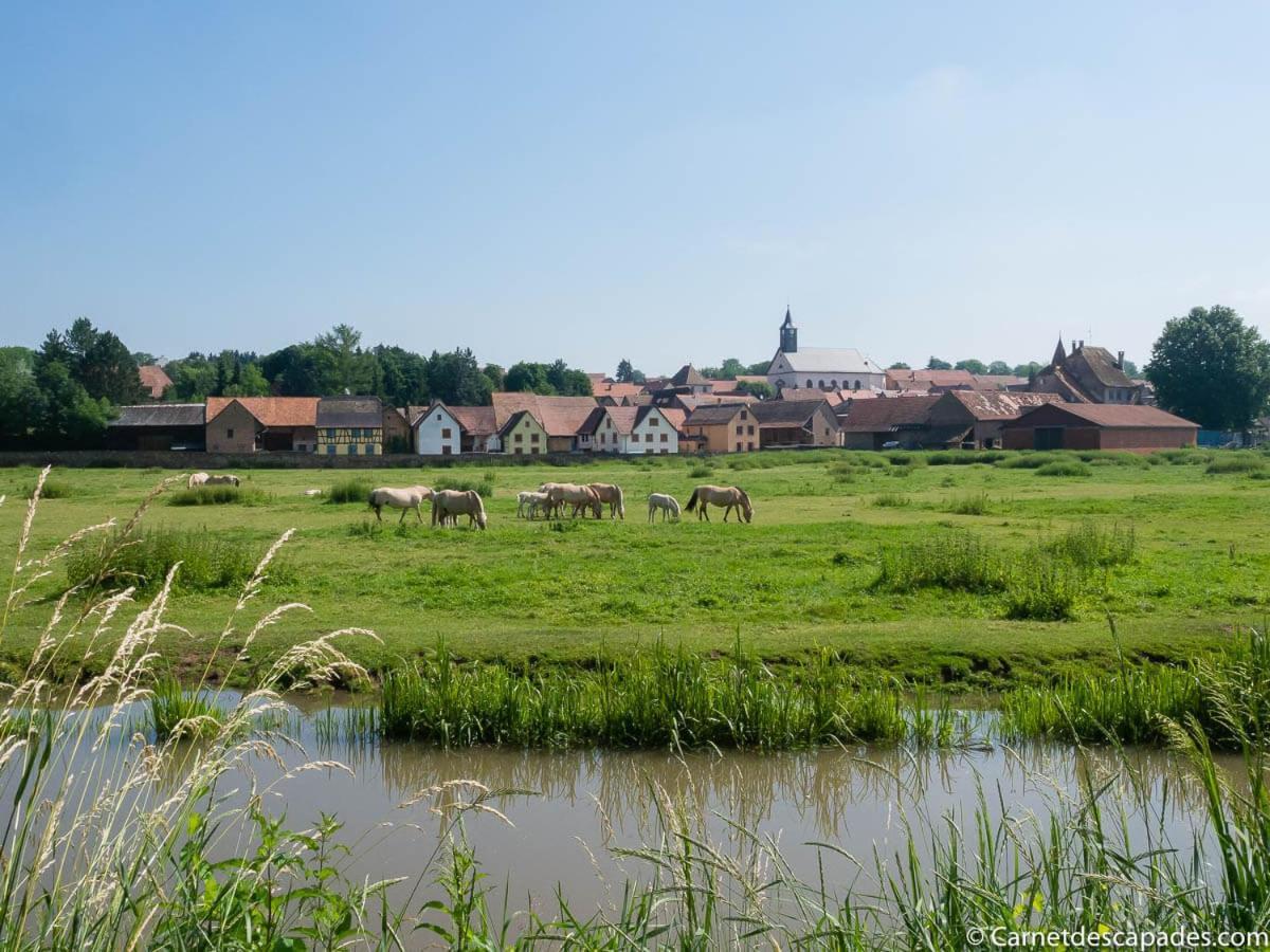 Coeur D'Alsace Colmar Vignobles Ouest Avec Terrasses Wintzenheim Exterior foto