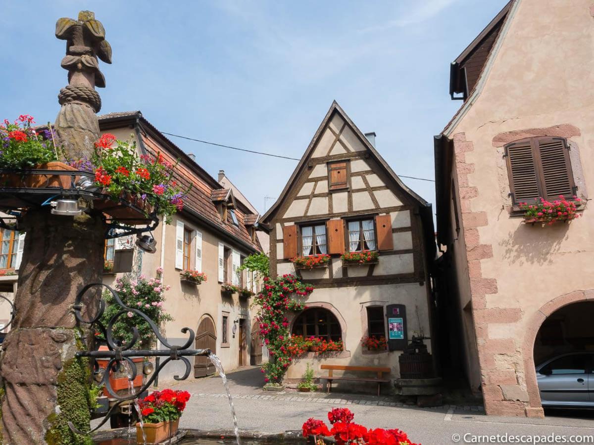Coeur D'Alsace Colmar Vignobles Ouest Avec Terrasses Wintzenheim Exterior foto