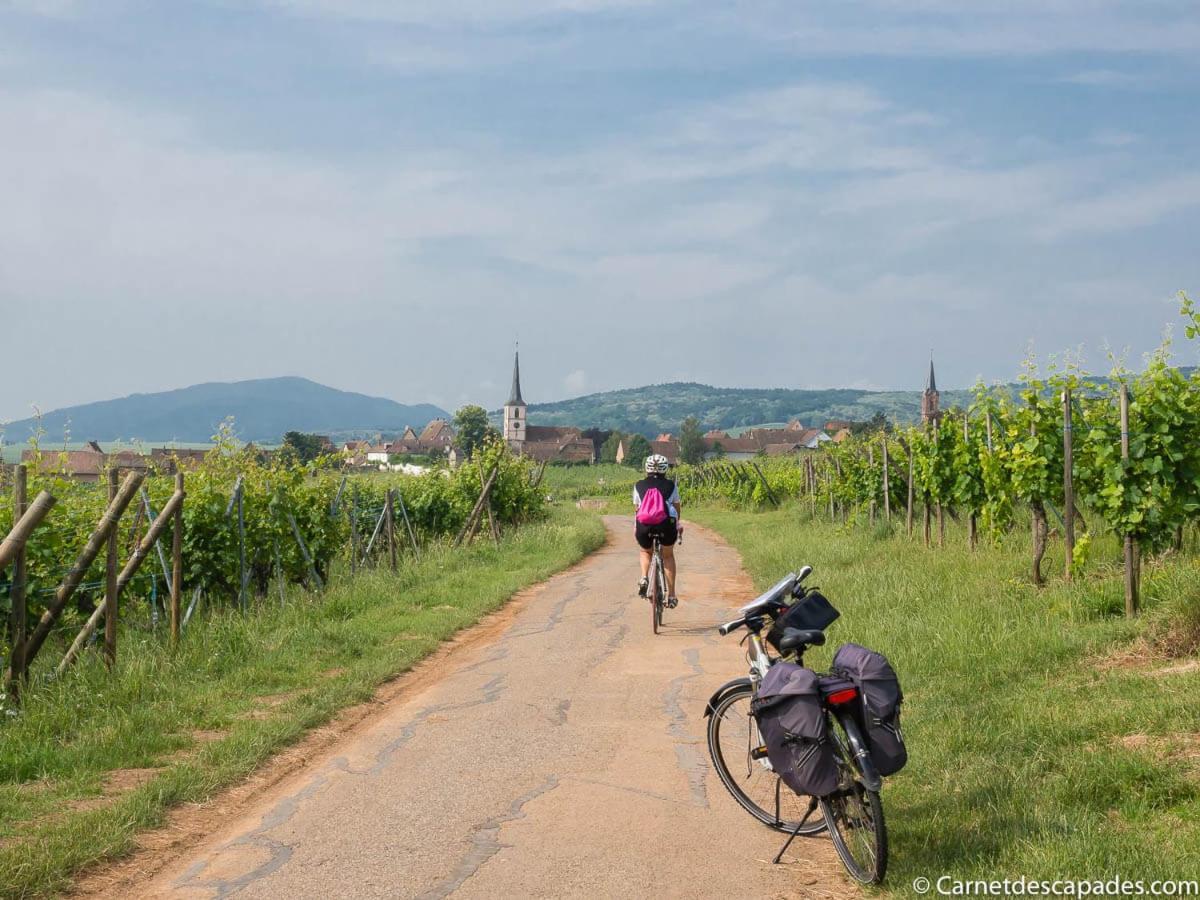 Coeur D'Alsace Colmar Vignobles Ouest Avec Terrasses Wintzenheim Exterior foto