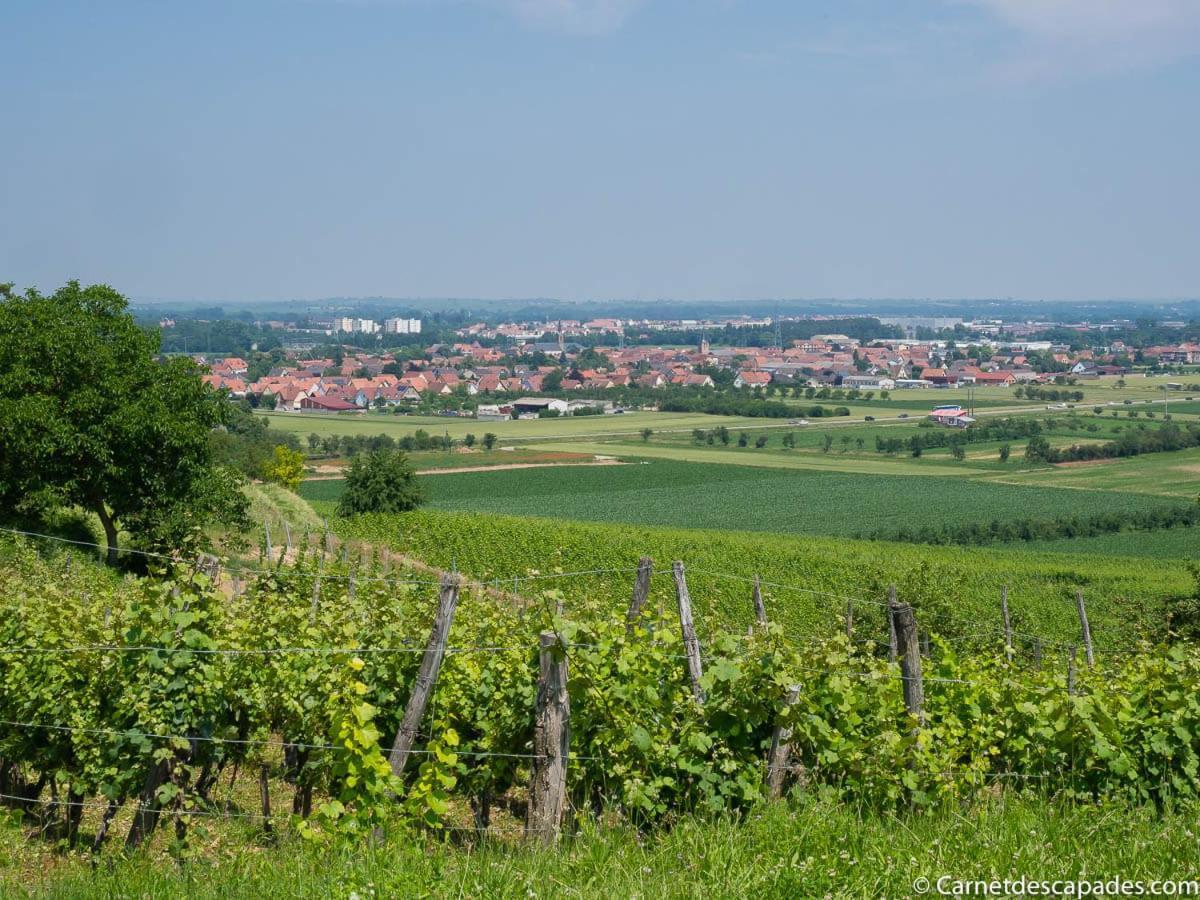 Coeur D'Alsace Colmar Vignobles Ouest Avec Terrasses Wintzenheim Exterior foto