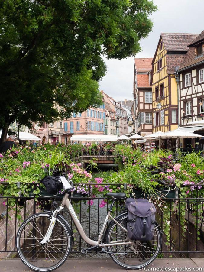 Coeur D'Alsace Colmar Vignobles Ouest Avec Terrasses Wintzenheim Exterior foto