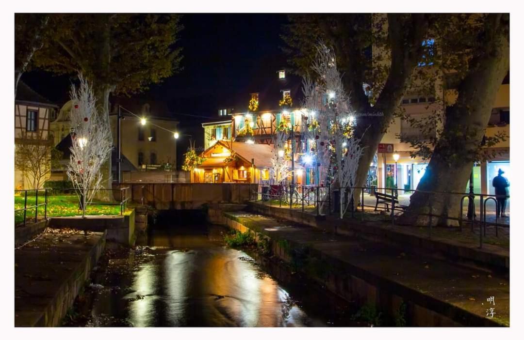 Coeur D'Alsace Colmar Vignobles Ouest Avec Terrasses Wintzenheim Exterior foto
