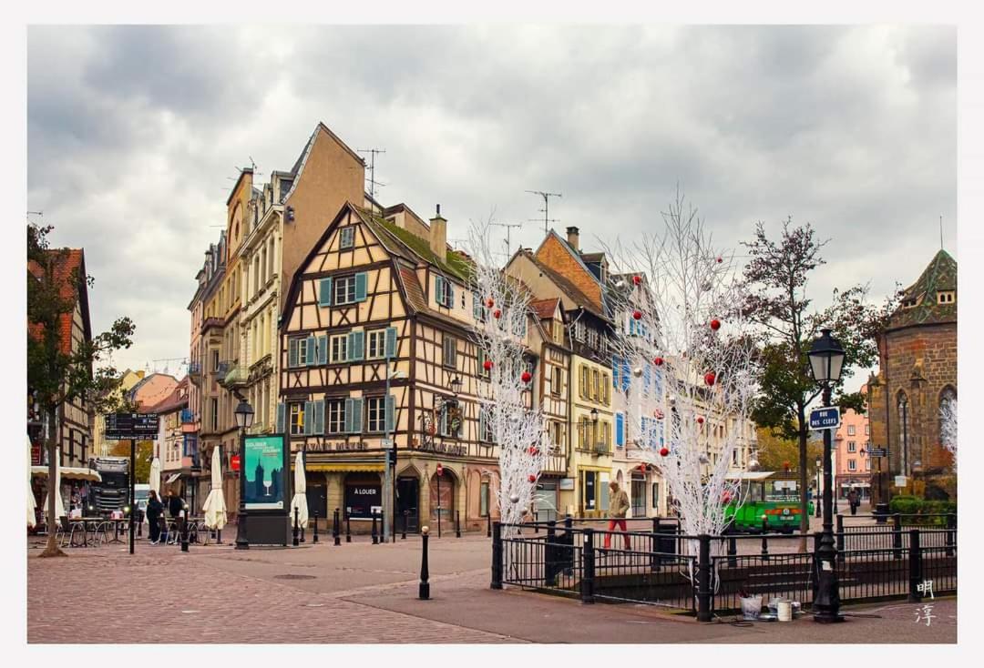 Coeur D'Alsace Colmar Vignobles Ouest Avec Terrasses Wintzenheim Exterior foto