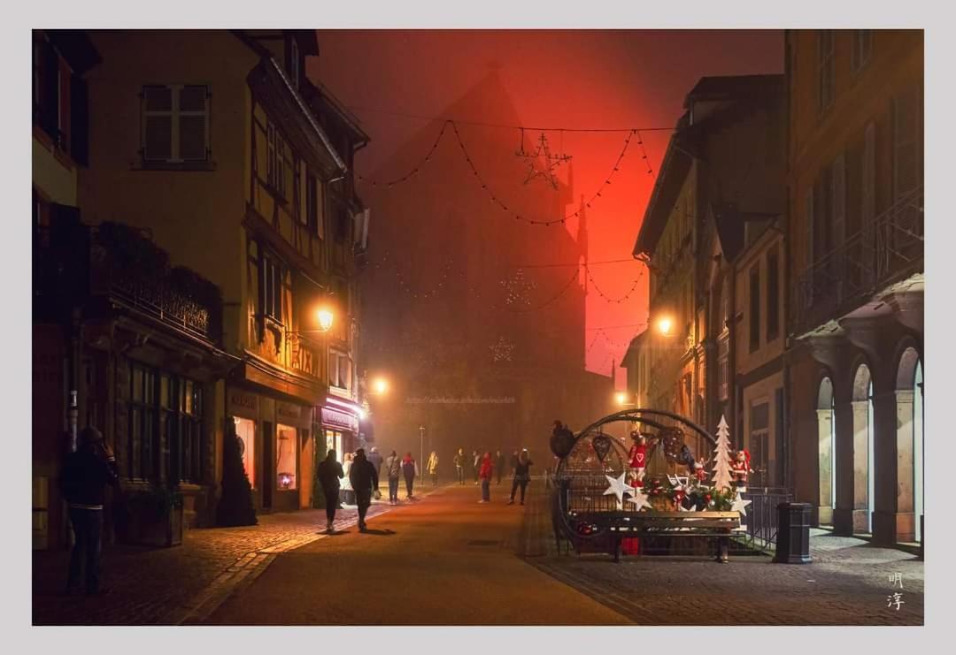 Coeur D'Alsace Colmar Vignobles Ouest Avec Terrasses Wintzenheim Exterior foto